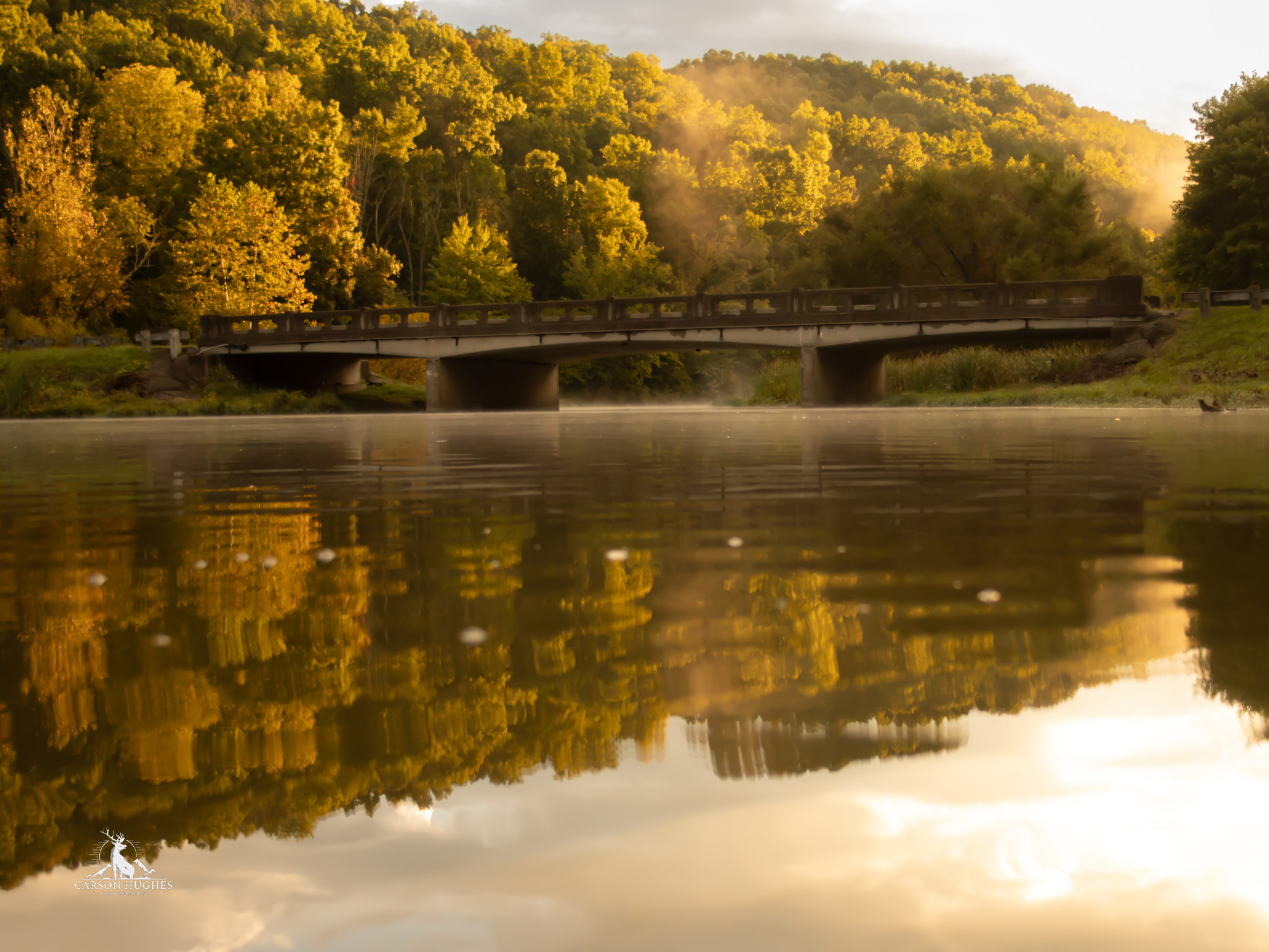 VSP Bridge